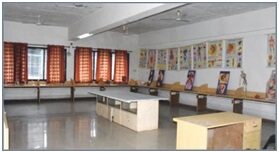 Anatomy & Physiology Lab